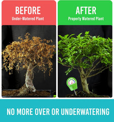 GROWIT Plant Moisture Meter - Accurately Tells You When to Water Your Plants - 26cm, No Battery Needed