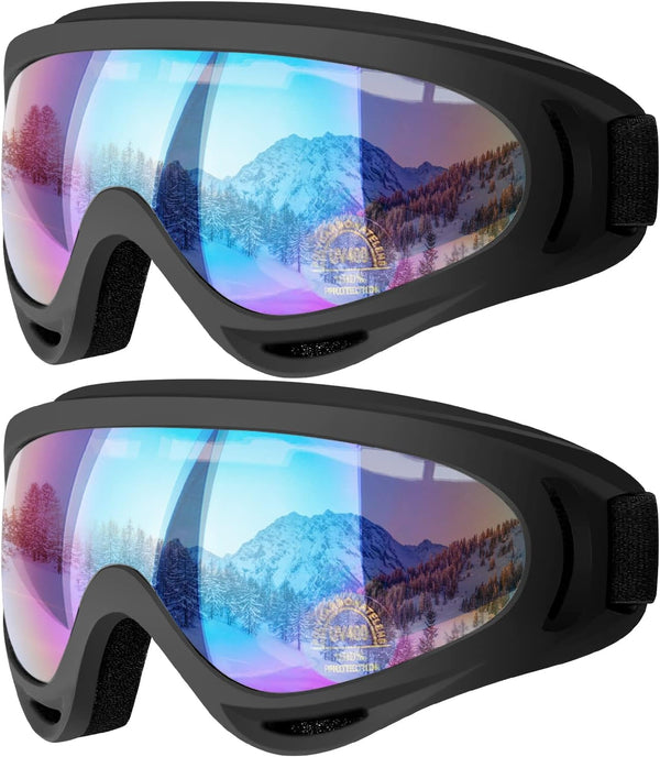 Snow Ski