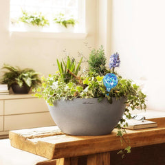 Plant Watering Globes Set of 6 - Small Glass Self Watering Bulbs Up to 5 Days of Irrigation - for Indoor & Outdoor Plants - Multicolor, Automatic, Glass Watering Bulbs for Daily Use, Watering Devices