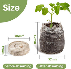 MAQIHAN 50PCS Peat Pellets for Seedlings - 35MM Seed Starter Pellets Peat Pods for Starting Seeds Garden Soil for Planting Transplanting Growing Garden Flower Vegetables Germination Propagation Tray