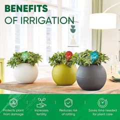 Plant Watering Globes Set of 6 - Small Glass Self Watering Bulbs Up to 5 Days of Irrigation - for Indoor & Outdoor Plants - Multicolor, Automatic, Glass Watering Bulbs for Daily Use, Watering Devices