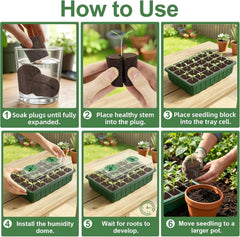 Grow Sponges with Tray, 24 Pack Seed Starter Pods & Starter Plugs for Cuttings, Hydroponic Grow Sponges for Seed Starting, Plant Plugs for Herbs Vegetables Flowers, Easy Transplant Rooter Pods