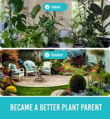 GROWIT Plant Moisture Meter - Accurately Tells You When to Water Your Plants - 26cm, No Battery Needed